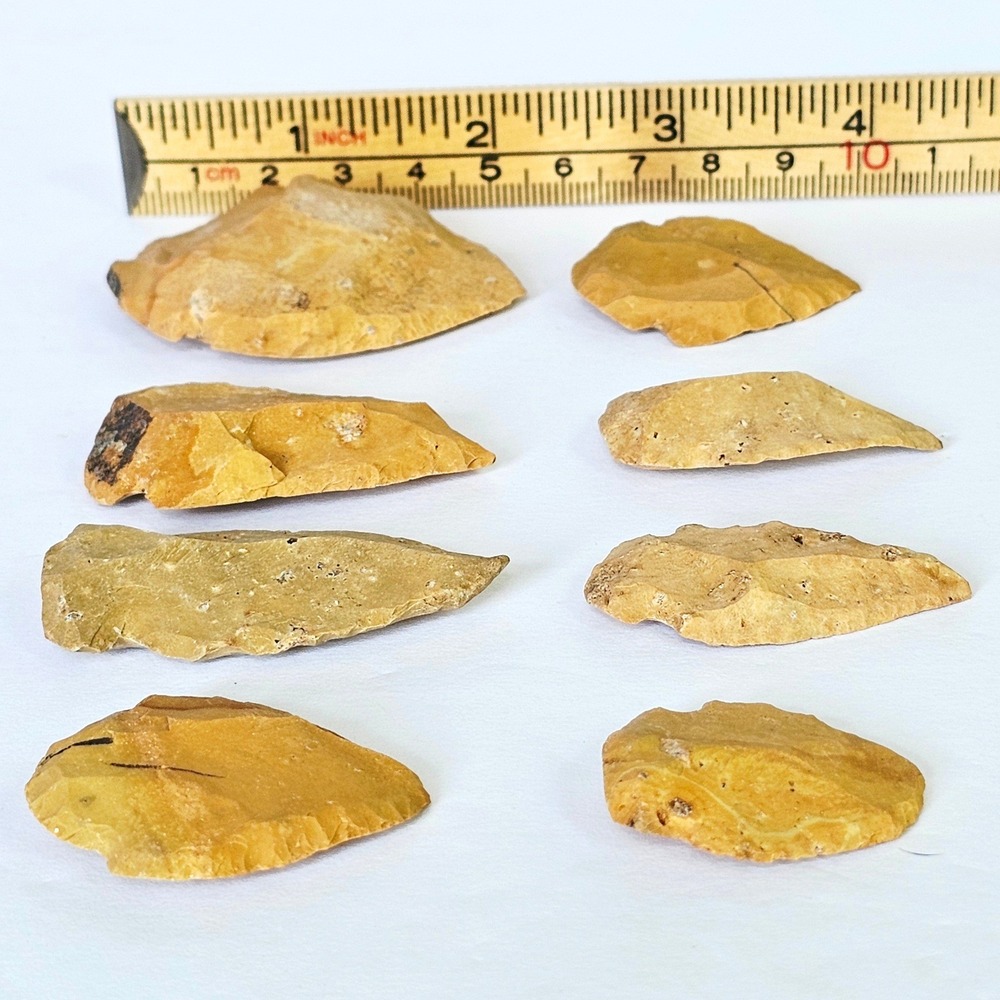 8pc Authentic Stone Arrowhead Artifacts Tan Chert Flint Projectile Point Set